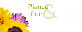 piante e fiori