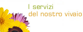 servizi del vivaio