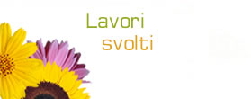 lavori svolti